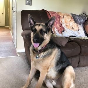 Meet your Posher, Robert